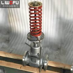 自力式壓力調(diào)節(jié)閥：科技引領(lǐng)，壓力控制新篇章